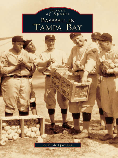 Book cover of Baseball in Tampa Bay (Images of Sports)