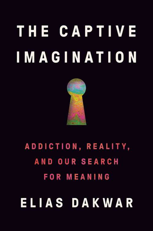 Book cover of The Captive Imagination: Addiction, Reality, and Our Search for Meaning