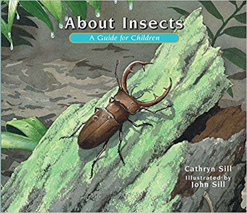 Book cover of About Insects: A Guide for Children (Fountas & Pinnell LLI Blue: Level J)