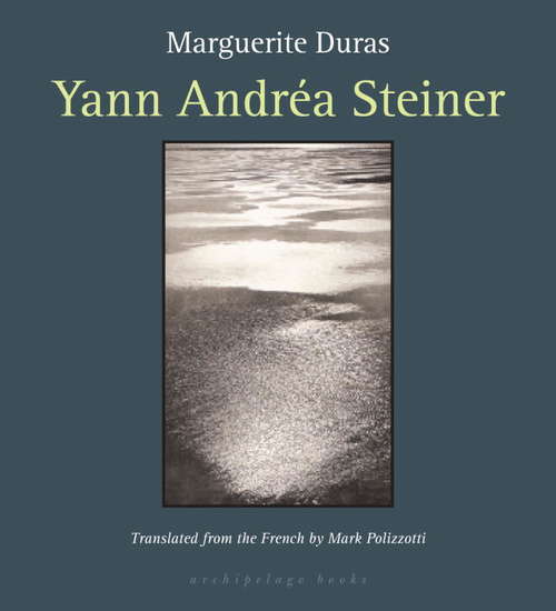 Book cover of Yann Andrea Steiner