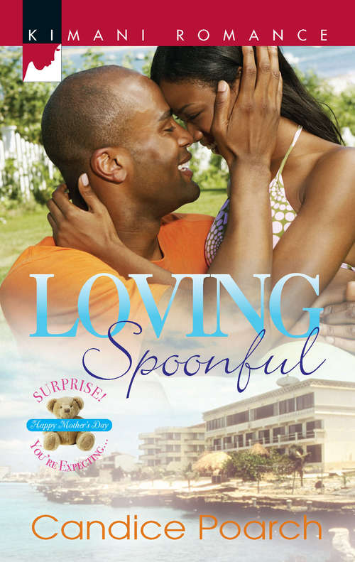 Book cover of Loving Spoonful