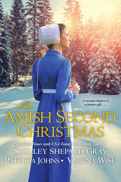 Book cover of An Amish Second Christmas