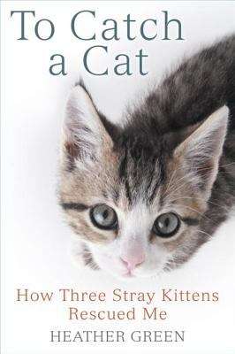 Book cover of To Catch a Cat: How Three Stray Kittens Rescued Me