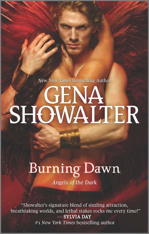 Book cover of Burning Dawn (Original) (Angels of the Dark #3)