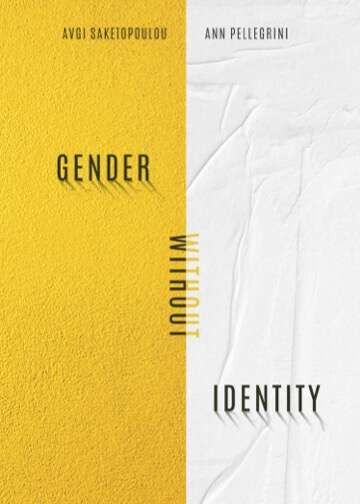 Book cover of Gender Without Identity