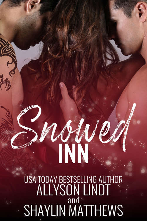 Book cover of Snowed Inn