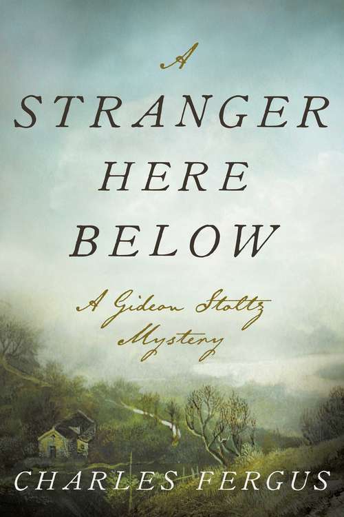 Book cover of A Stranger Here Below: A Gideon Stoltz Mystery (Gideon Stoltz Mystery Series)