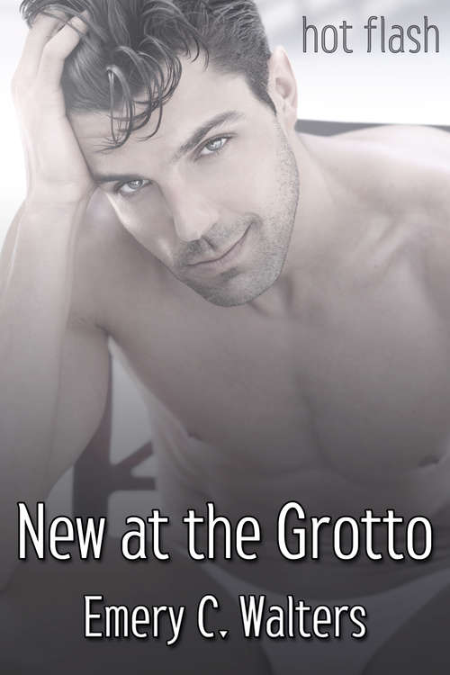 Book cover of New at the Grotto