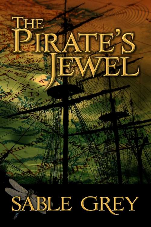 Book cover of The Pirate's Jewel