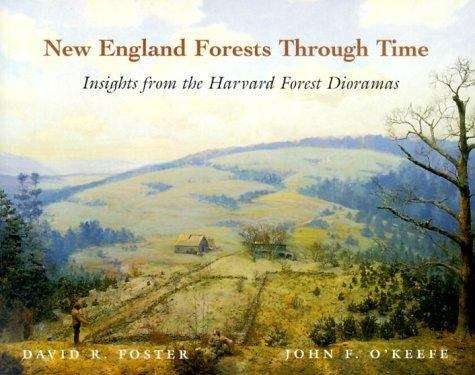 Book cover of New England Forests Through Time: Insights From The Harvard Forest Dioramas