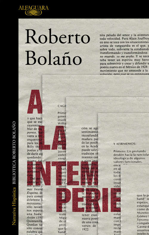Book cover of A la intemperie: Colaboraciones periodísticas, intervenciones públicas y ensayos