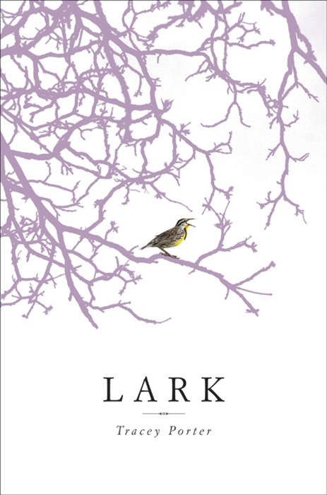 Book cover of Lark