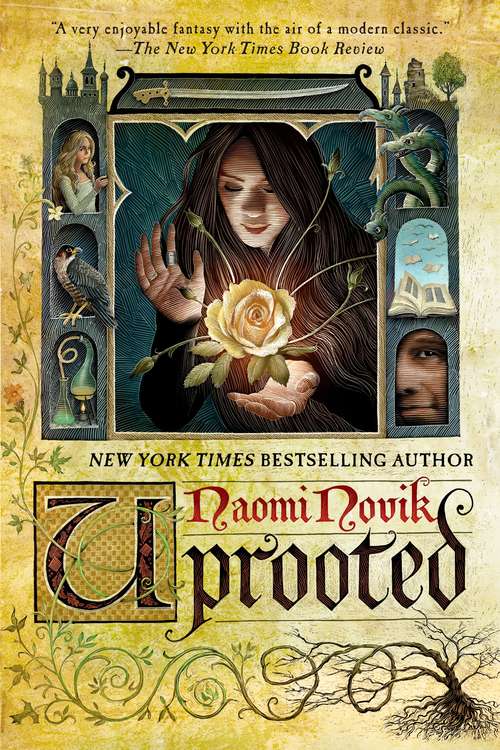 Book cover of Uprooted: A Novel