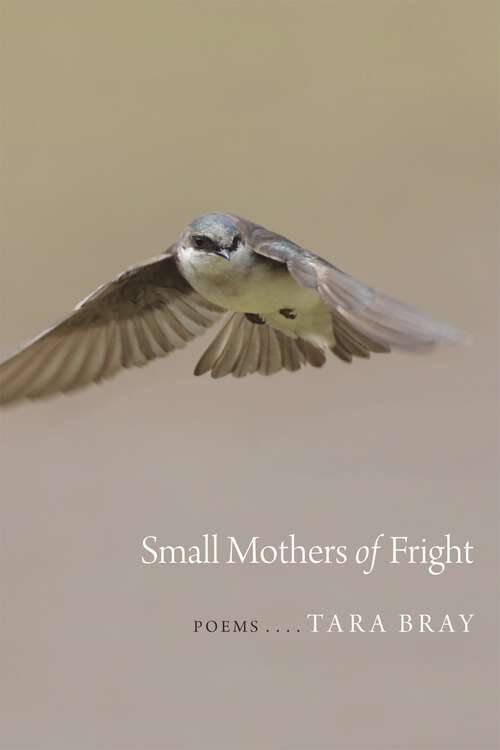 Book cover of Small Mothers of Fright: Poems (Goat Island Poetry)