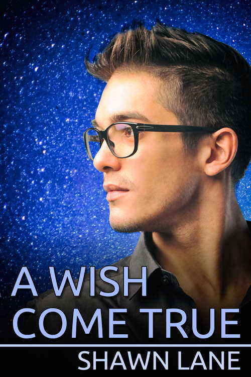 Book cover of A Wish Come True