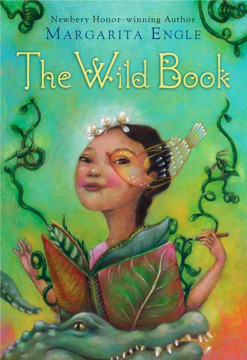 Book cover of The Wild Book