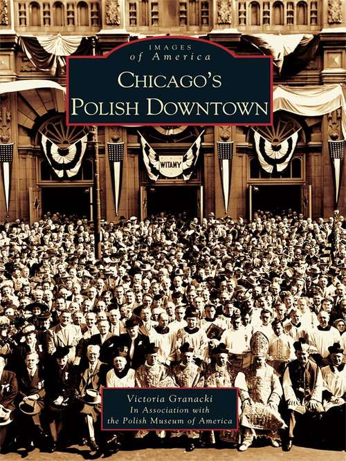 Book cover of Chicago's Polish Downtown