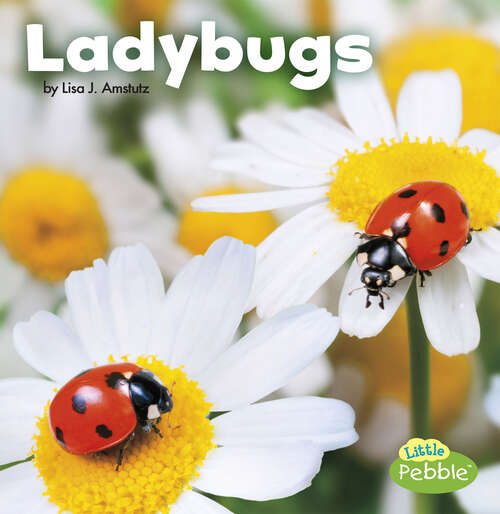 Book cover of Ladybugs (Little Critters Ser.)