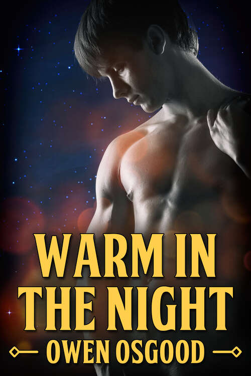 Book cover of Warm in the Night