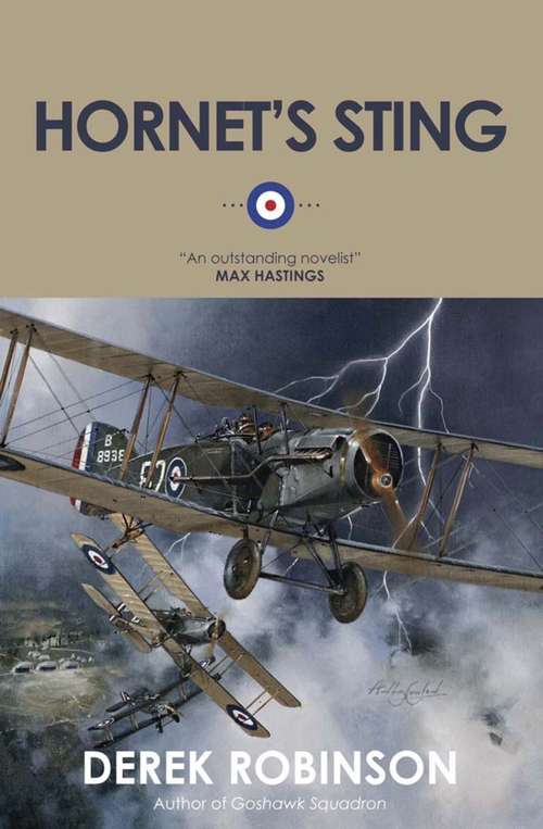 Book cover of Hornet's Sting