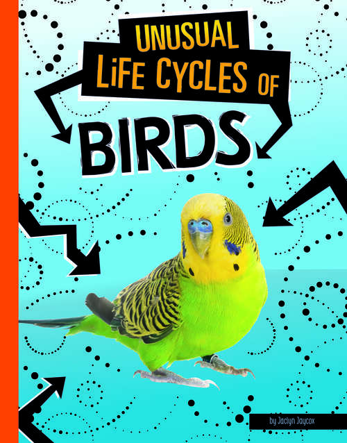 Book cover of Unusual Life Cycles of Birds (Unusual Life Cycles)