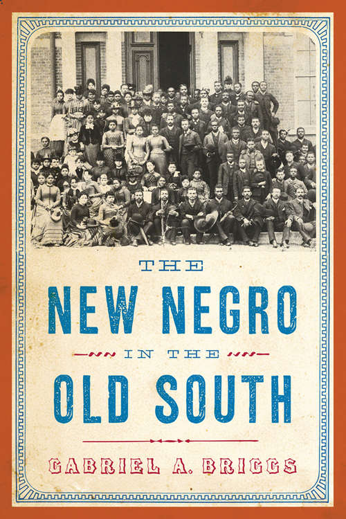 Book cover of The New Negro in the Old South