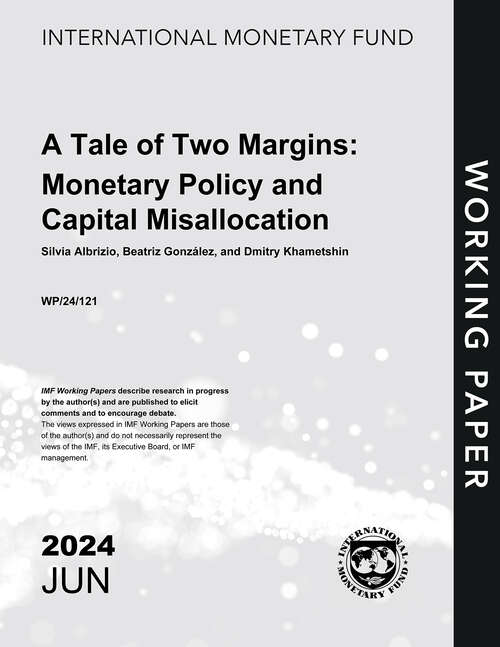 Book cover of A Tale of Two Margins: Monetary Policy and Capital Misallocation (Imf Working Papers)