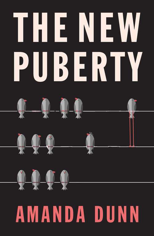 Book cover of New Puberty