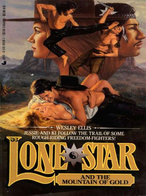 Book cover of Lonestar and the Mountain of Gold (Lone Star #84)