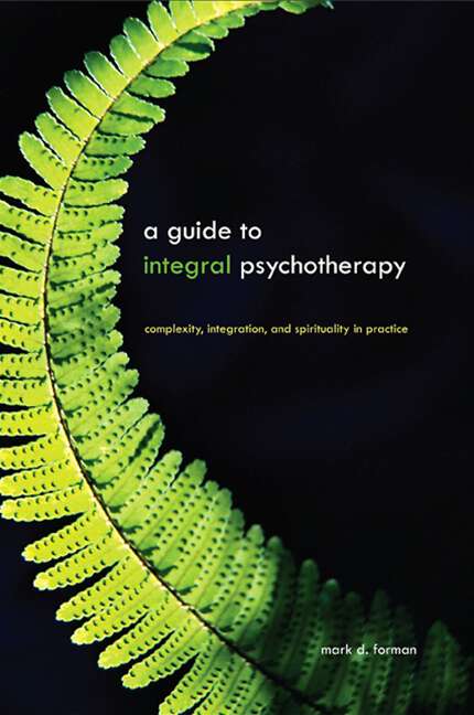 Book cover of A Guide to Integral Psychotherapy: Complexity, Integration, and Spirituality in Practice (SUNY series in Integral Theory)