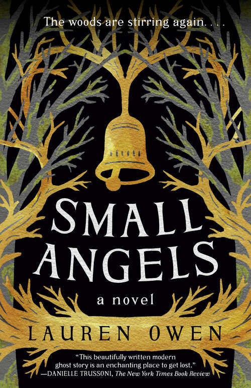 Book cover of Small Angels: A Novel