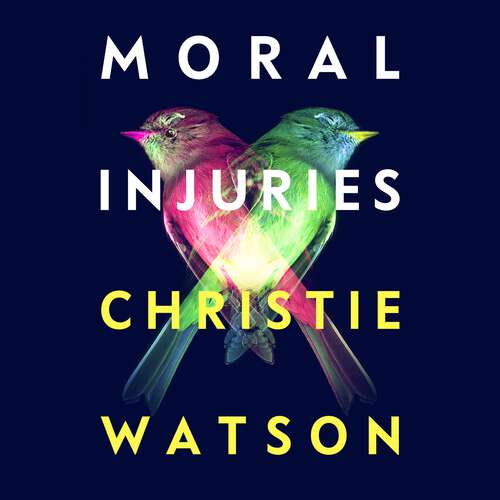 Book cover of Moral Injuries