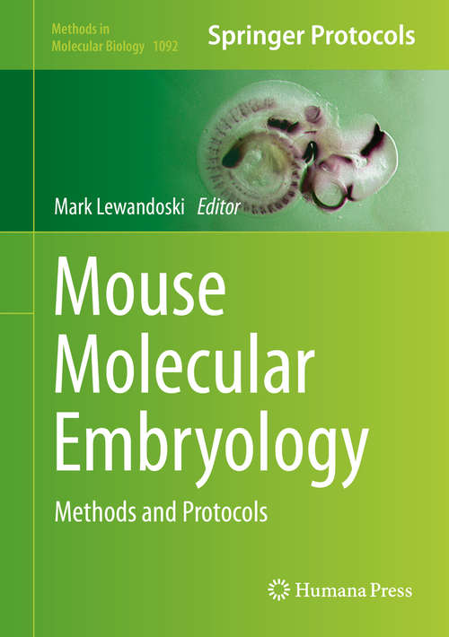 Book cover of Mouse Molecular Embryology