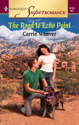 Book cover of The Road to Echo Point