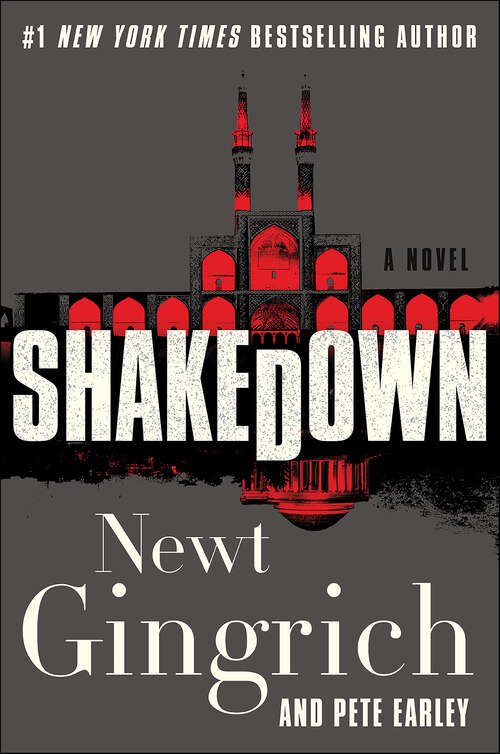 Book cover of Shakedown: A Novel (Mayberry and Garrett #2)