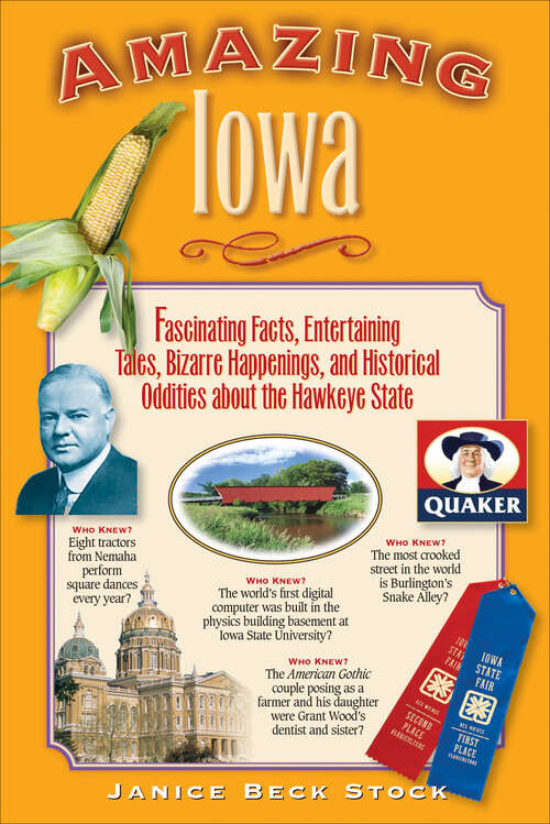 Book cover of Amazing Iowa