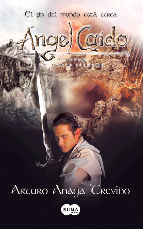 Book cover of Ángel Caído