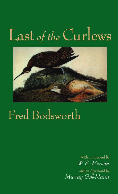 Book cover of Last of the Curlews (New Canadian Library)