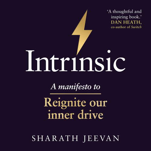 Book cover of Intrinsic: A manifesto to reignite our inner drive