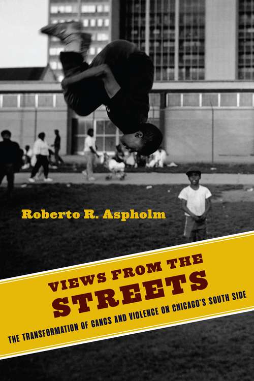 Book cover of Views from the Streets: The Transformation of Gangs and Violence on Chicago's South Side (Studies in Transgression)