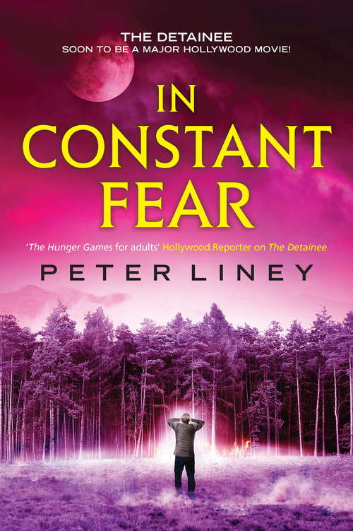 Book cover of In Constant Fear: The Detainee Book 3