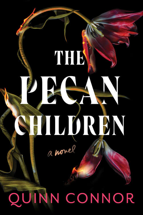 Book cover of The Pecan Children