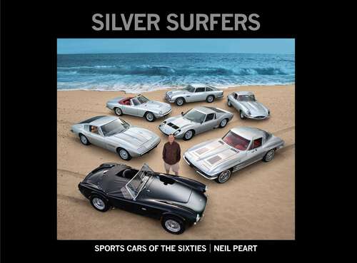 Book cover of Silver Surfers