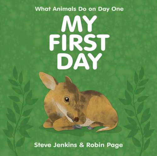 Book cover of My First Day: What Animals Do On Day One