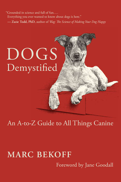 Book cover of Dogs Demystified: An A-to-Z Guide to All Things Canine