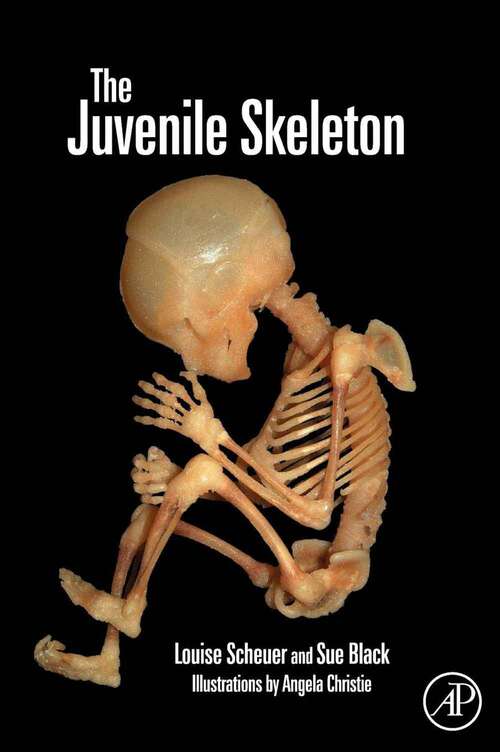 Book cover of The Juvenile Skeleton