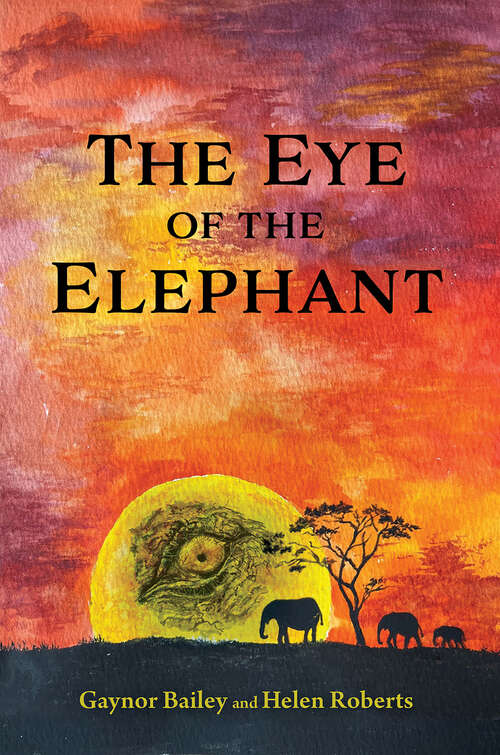 Book cover of The Eye of the Elephant: And What Do You See?