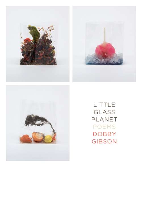 Book cover of Little Glass Planet: Poems