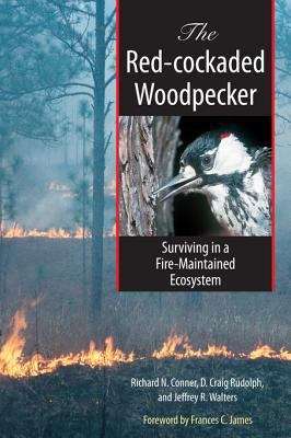 Book cover of The Red-cockaded Woodpecker: Surviving in a Fire-Maintained Ecosystem