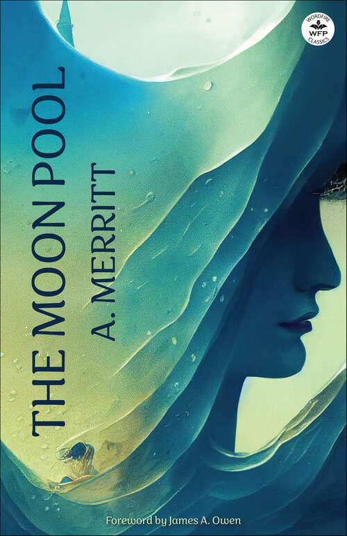 Book cover of The Moon Pool